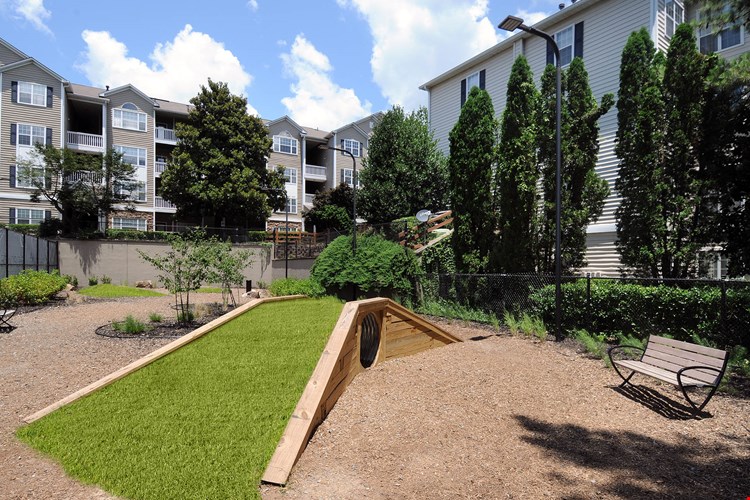 Dog Park with agility equipment