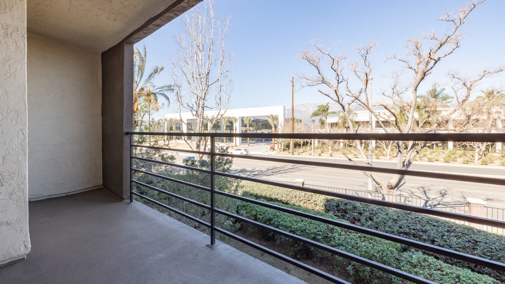 Centre Club Image 14