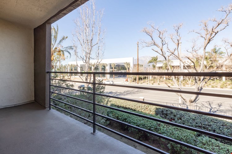 Centre Club Image 14