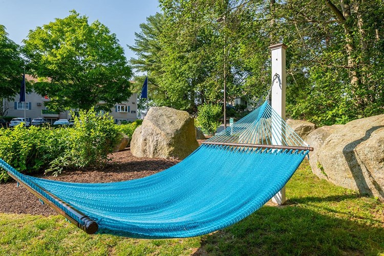Lay out and soak in the sun from our hammock garden.