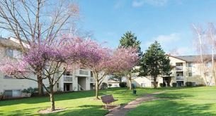 Lumina Apartments Image 34