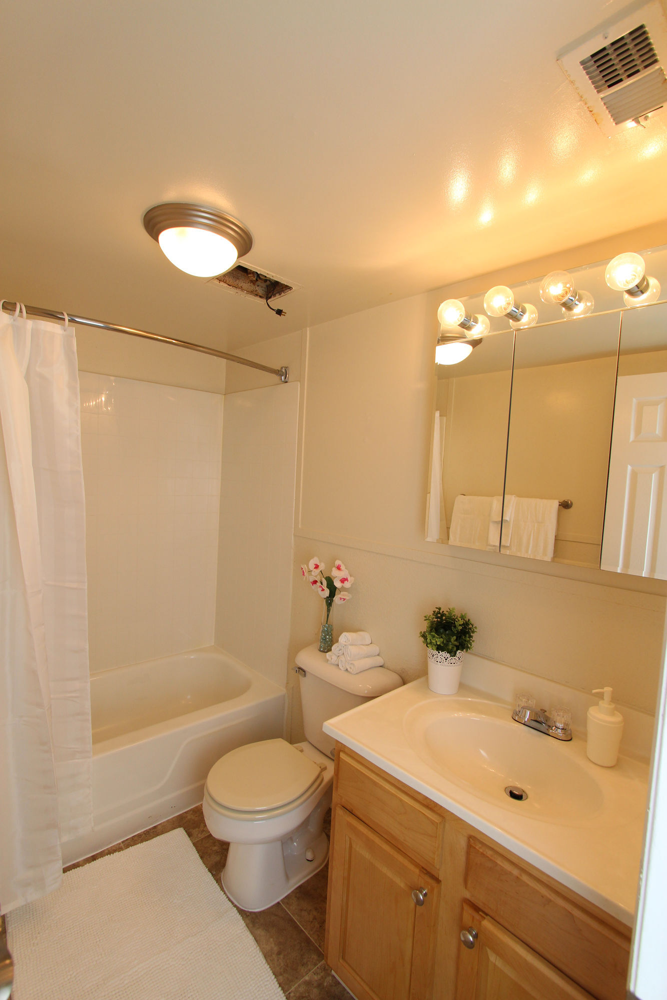 Camden Hills Image 5