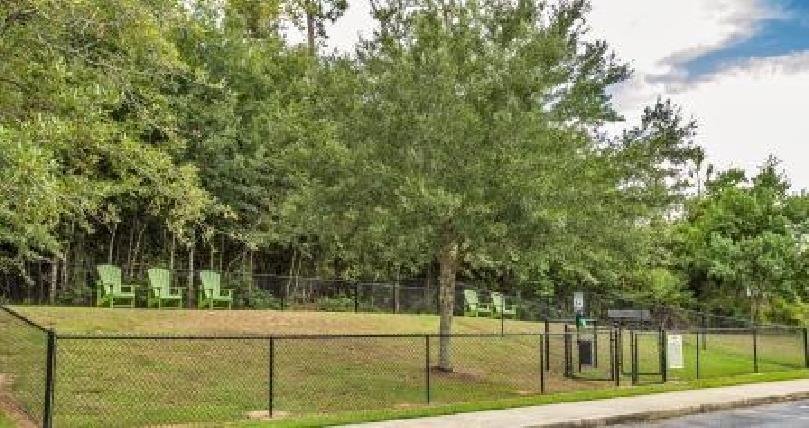 Dog park