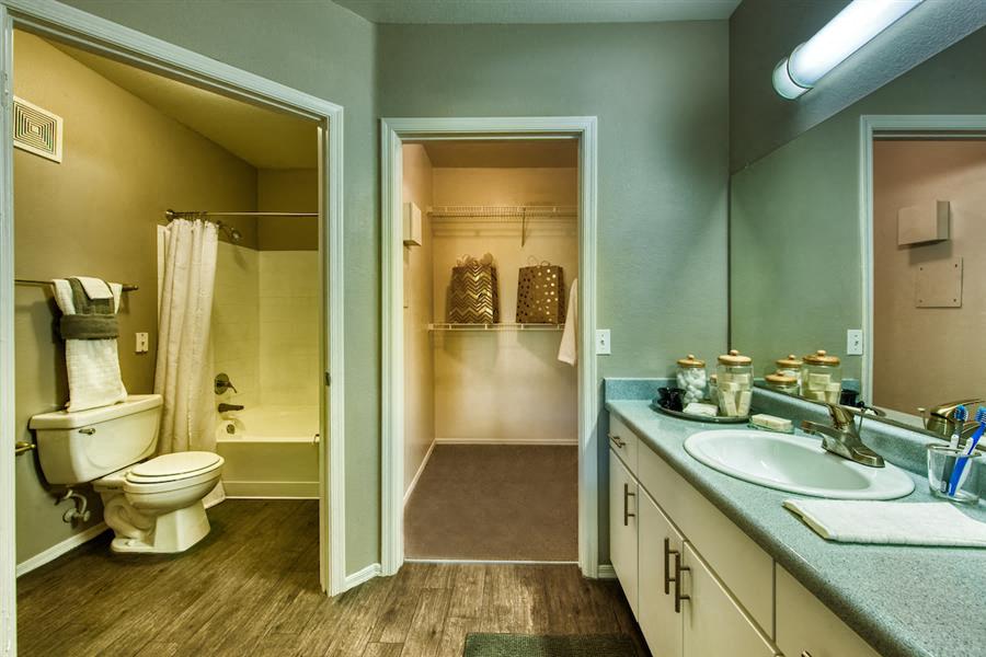 Bathroom & Spacious Closet