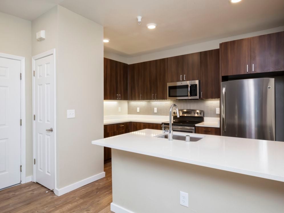 Premier Collection Kitchen with Quartz Countertops Walnut Cabinetry and Stainless Appliances