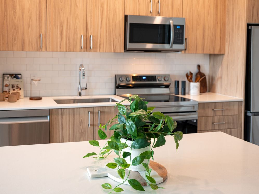 Kitchen with oak cabinetry, stainless-steel appliances, hard-surface flooring and granite countertops