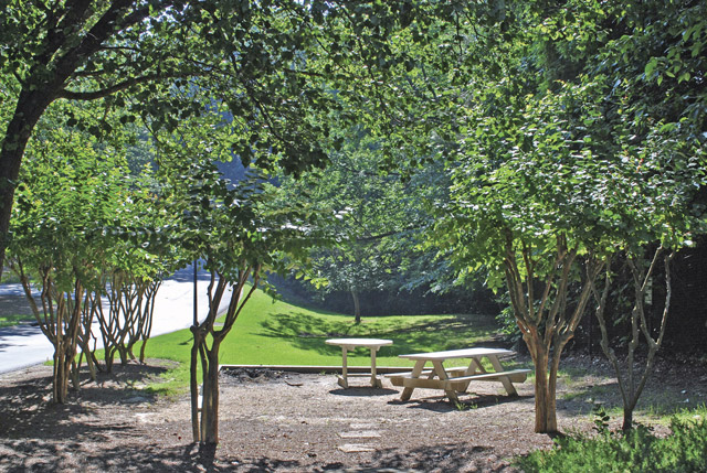 Dunwoody Crossing Image 8