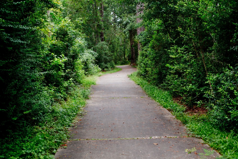 Biking and Walking Trails