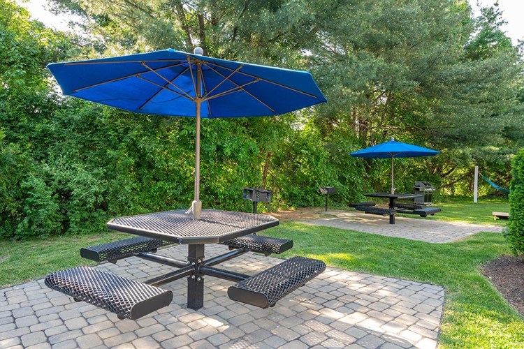 Have a cookout at our picnic area featuring multiple tables with umbrellas, and charcoal grills.