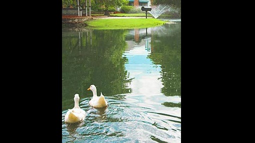 Relais Esplanade  Image 12