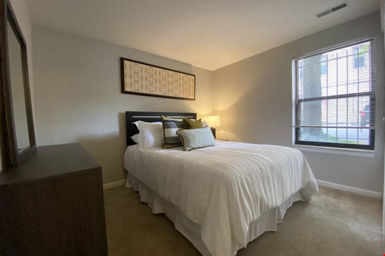 Bedroom with lots of natural lighting