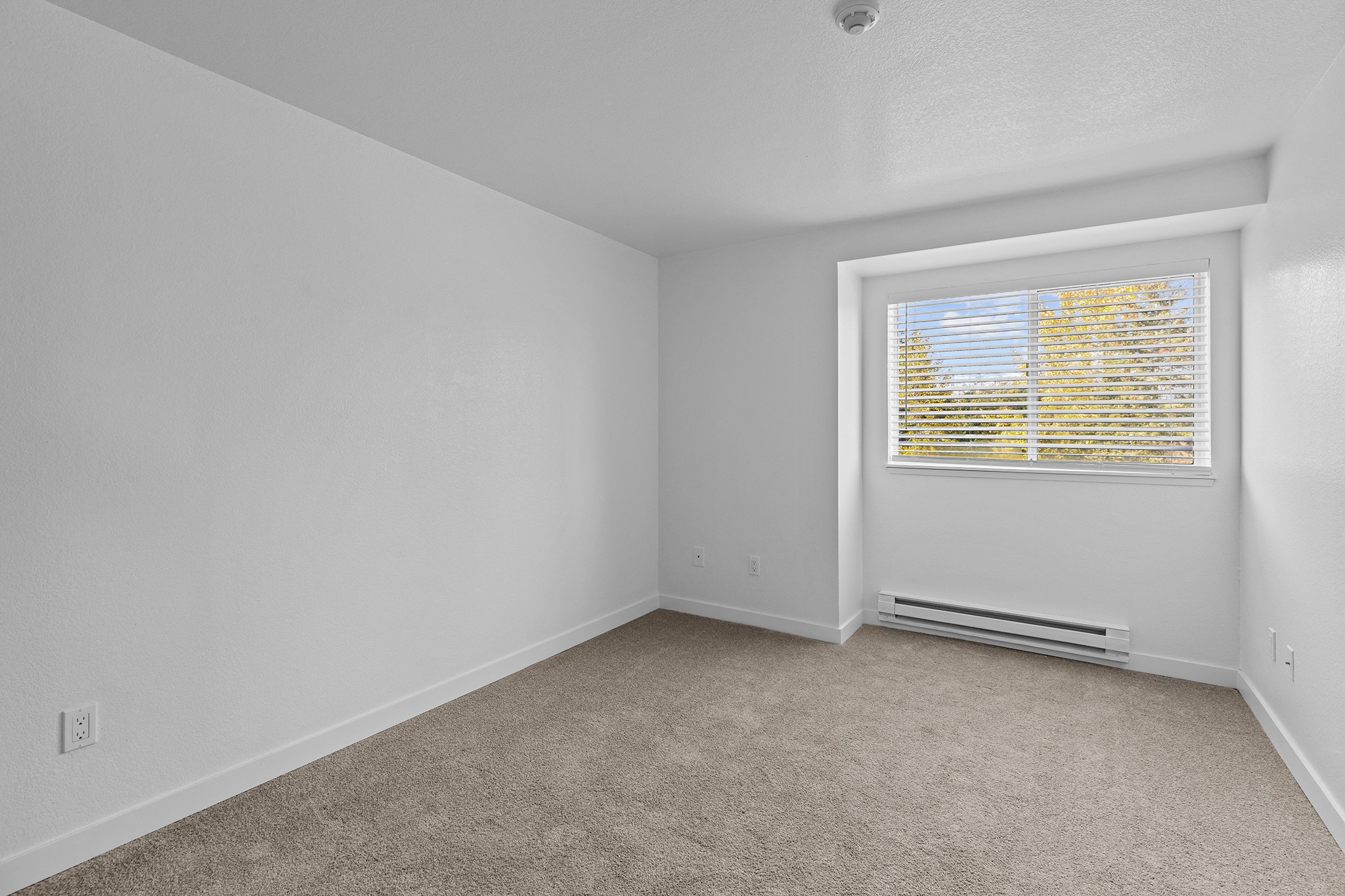 Elevate Image 10