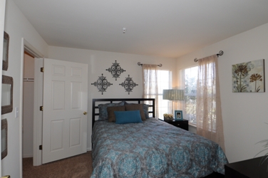 Winchester Apartments Image 6