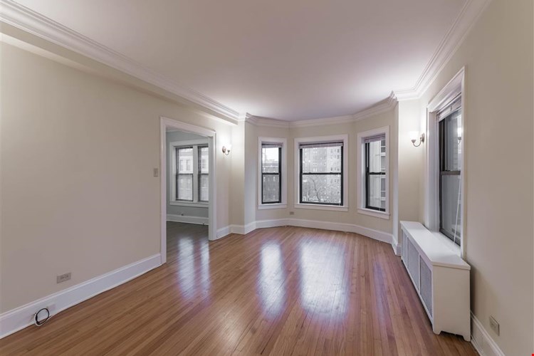 The Patricians Image 29