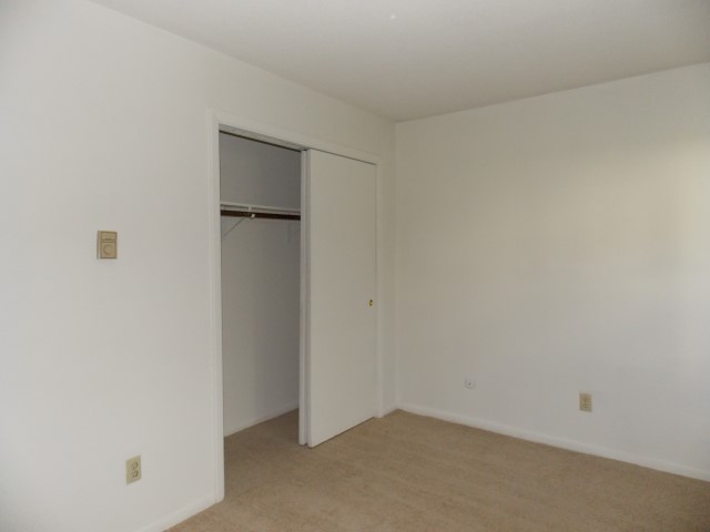 Ulysses Apartments Image 4