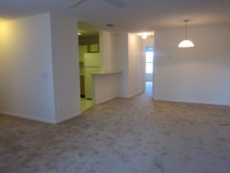 Coral Falls Image 10