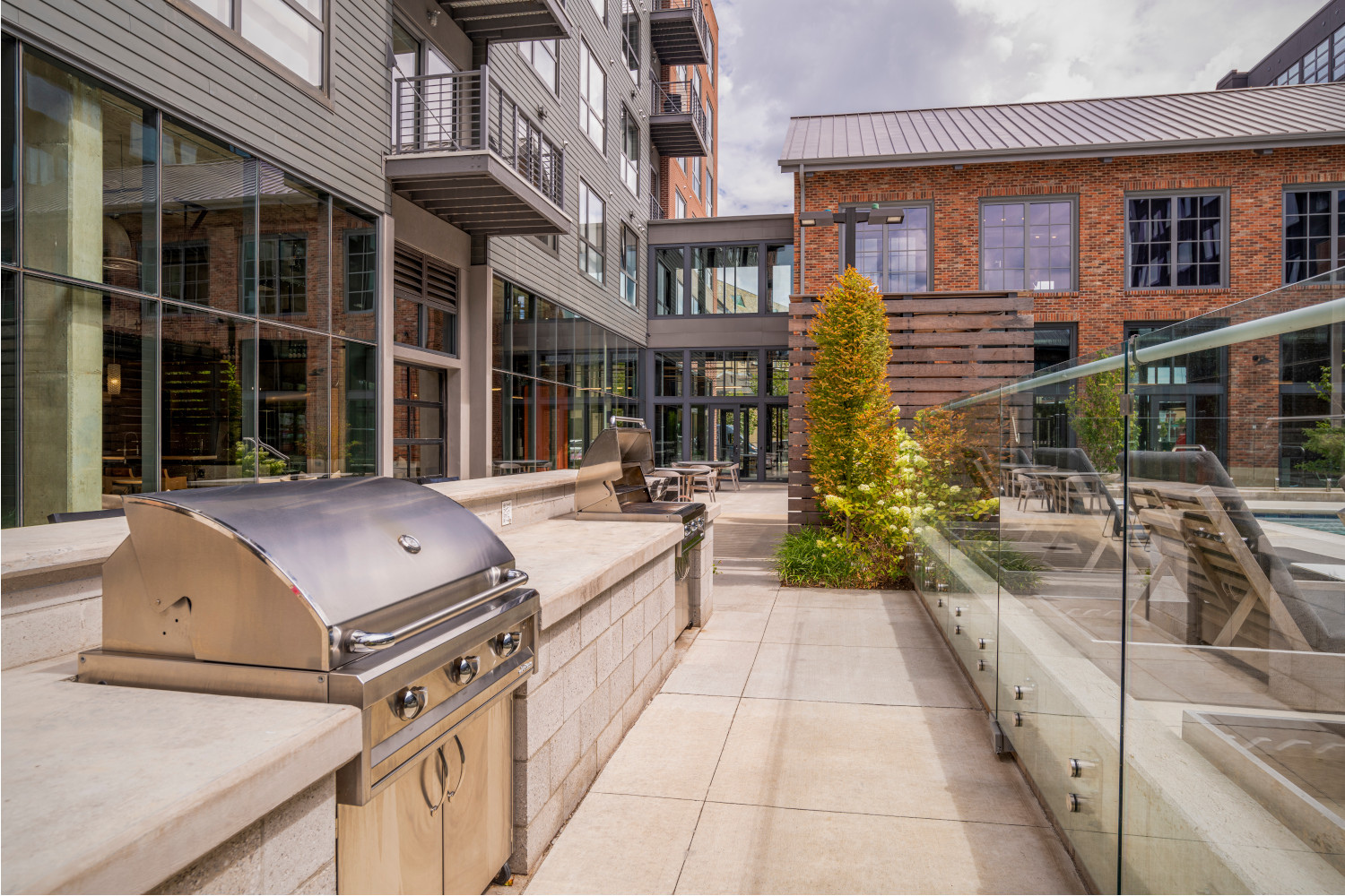 The Audubon Image 49