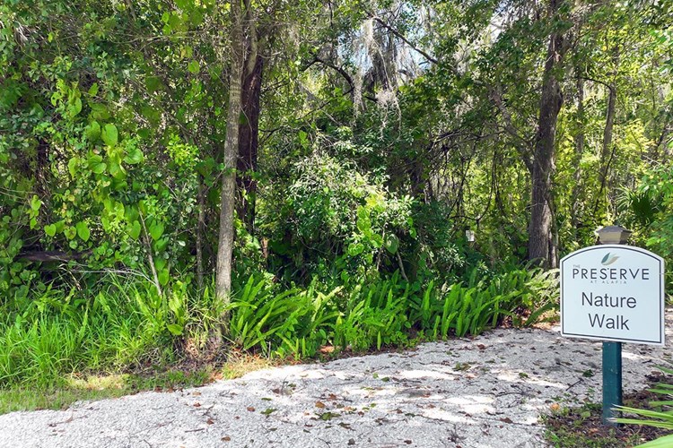 Enjoy the 80 acre preserve with nature trail located right next to our community. Trails are located throughout our community and lead to the Alafia River.