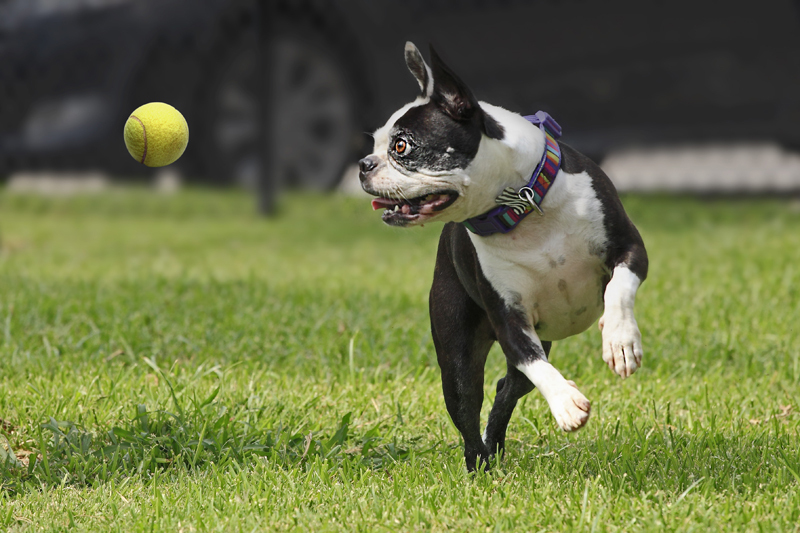 Camden Grand Harbor Image 13