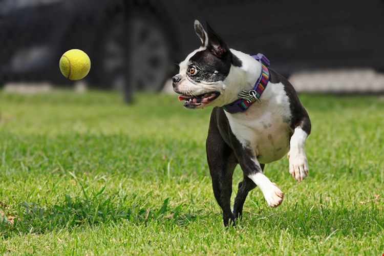 Camden Grand Harbor Image 13