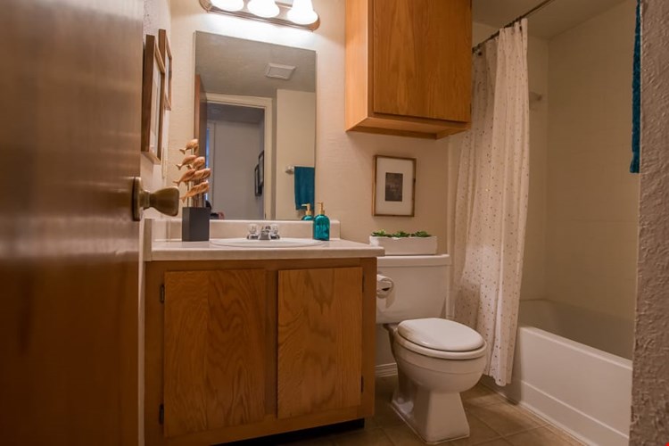 Silver Springs Image 12