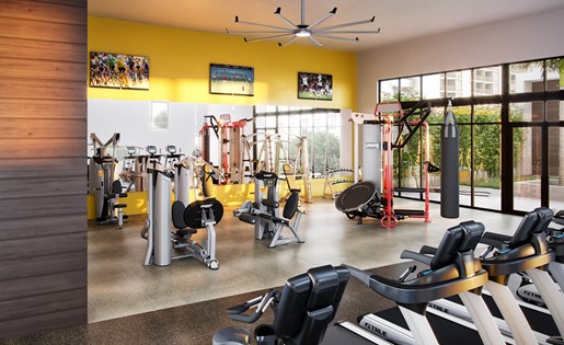 Elements on Third Image 23