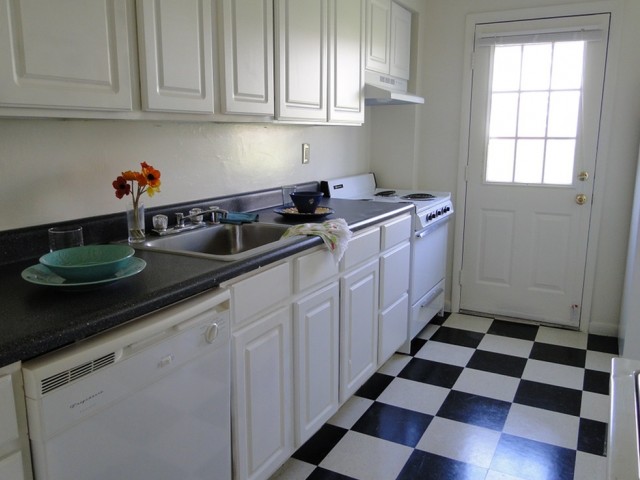 The Village Of Carrollwood Image 7