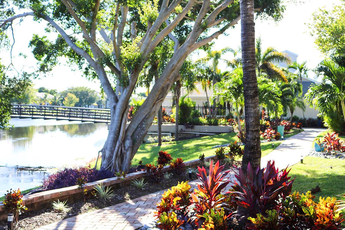 Enjoy views of our lush landscaping throughout our community.