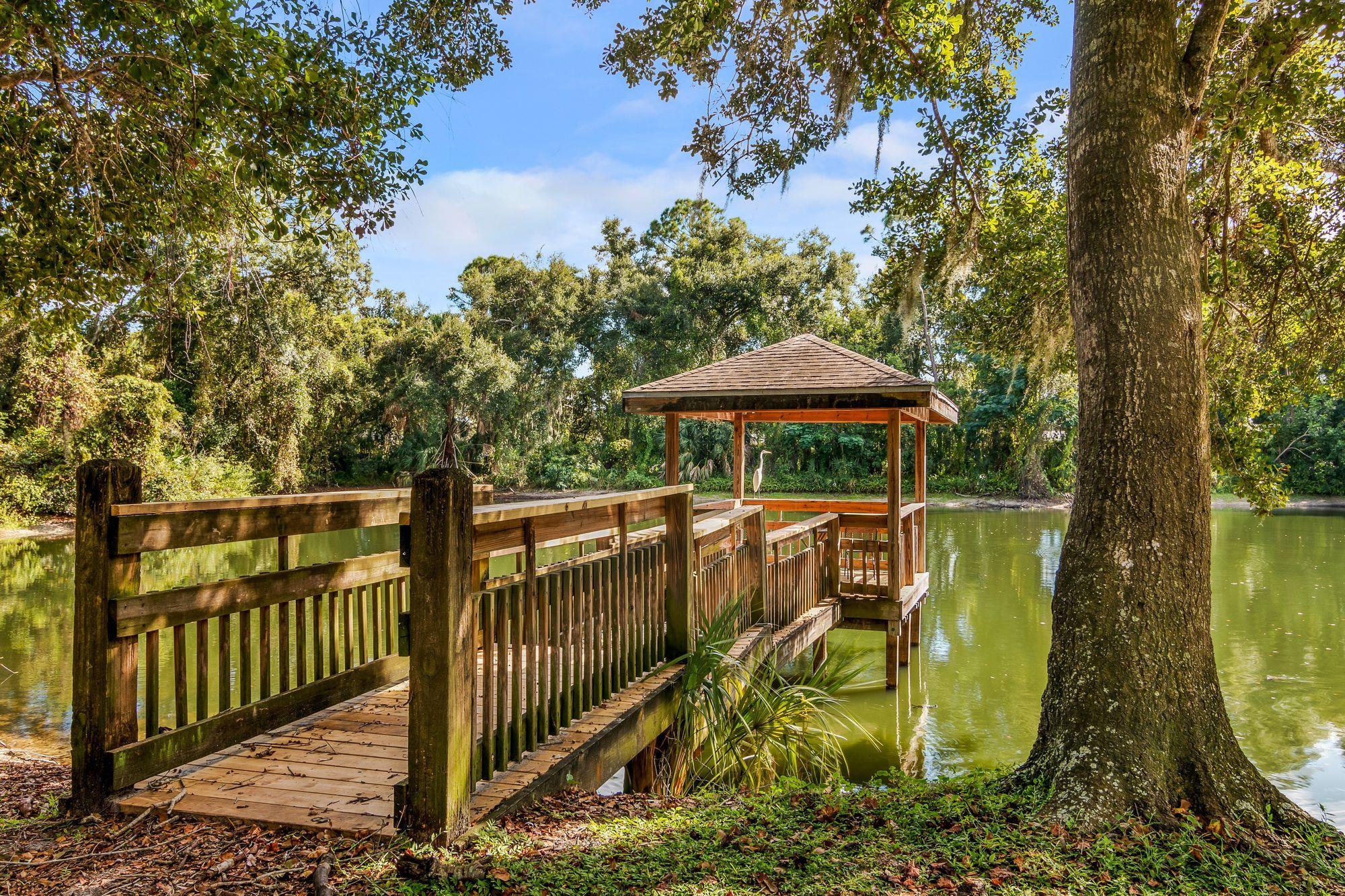 Arium Citrus Run Image 24