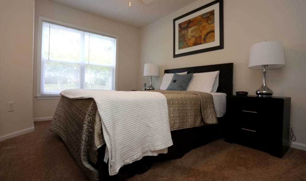 The Reflections of West Creek Image 9