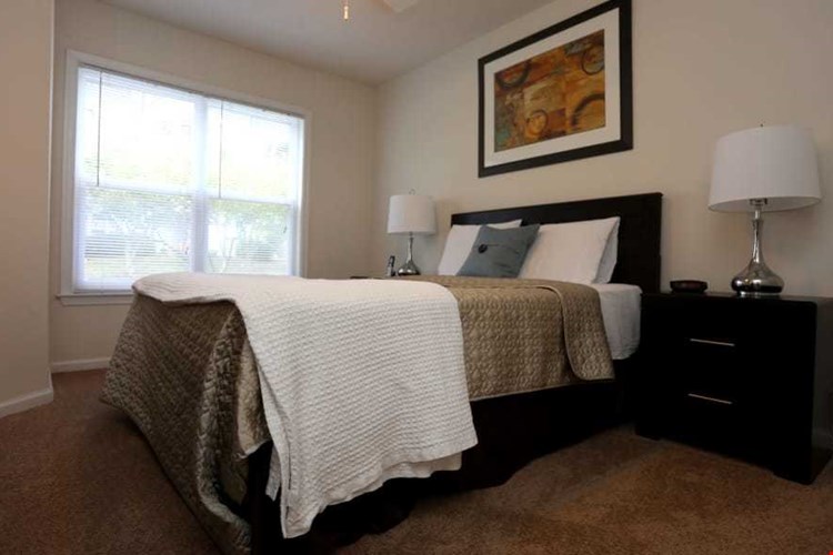 The Reflections of West Creek Image 9