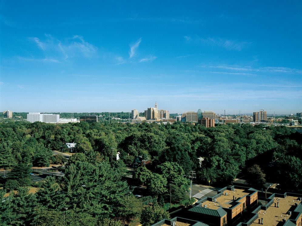 Lush woodland views with nearby Fairfax cityscape