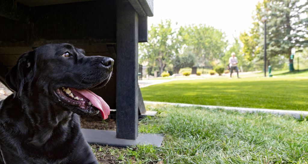 Camden Denver West Image 23