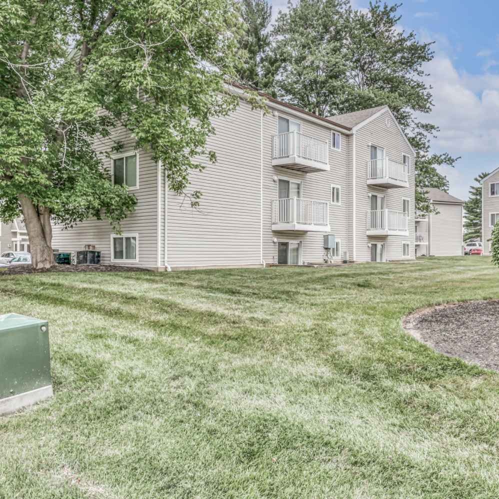 Timber Trails Image 3