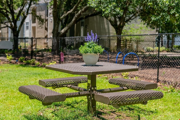 Have a cookout at our picnic area featuring picnic tables and charcoal grills.