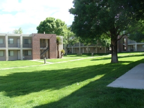 Sunrise Apartments Image 3