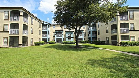 Falls at New Tampa Image 1