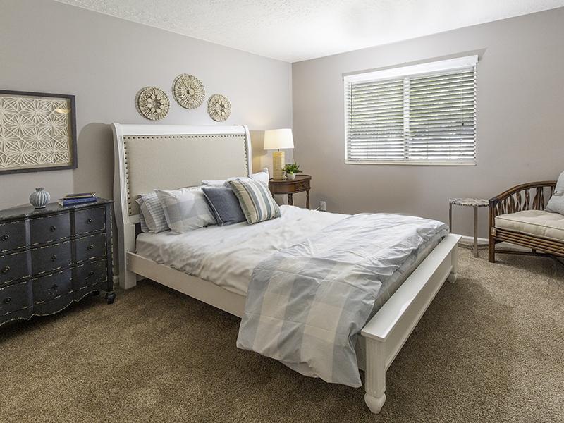 Candlestick Lane  Image 8