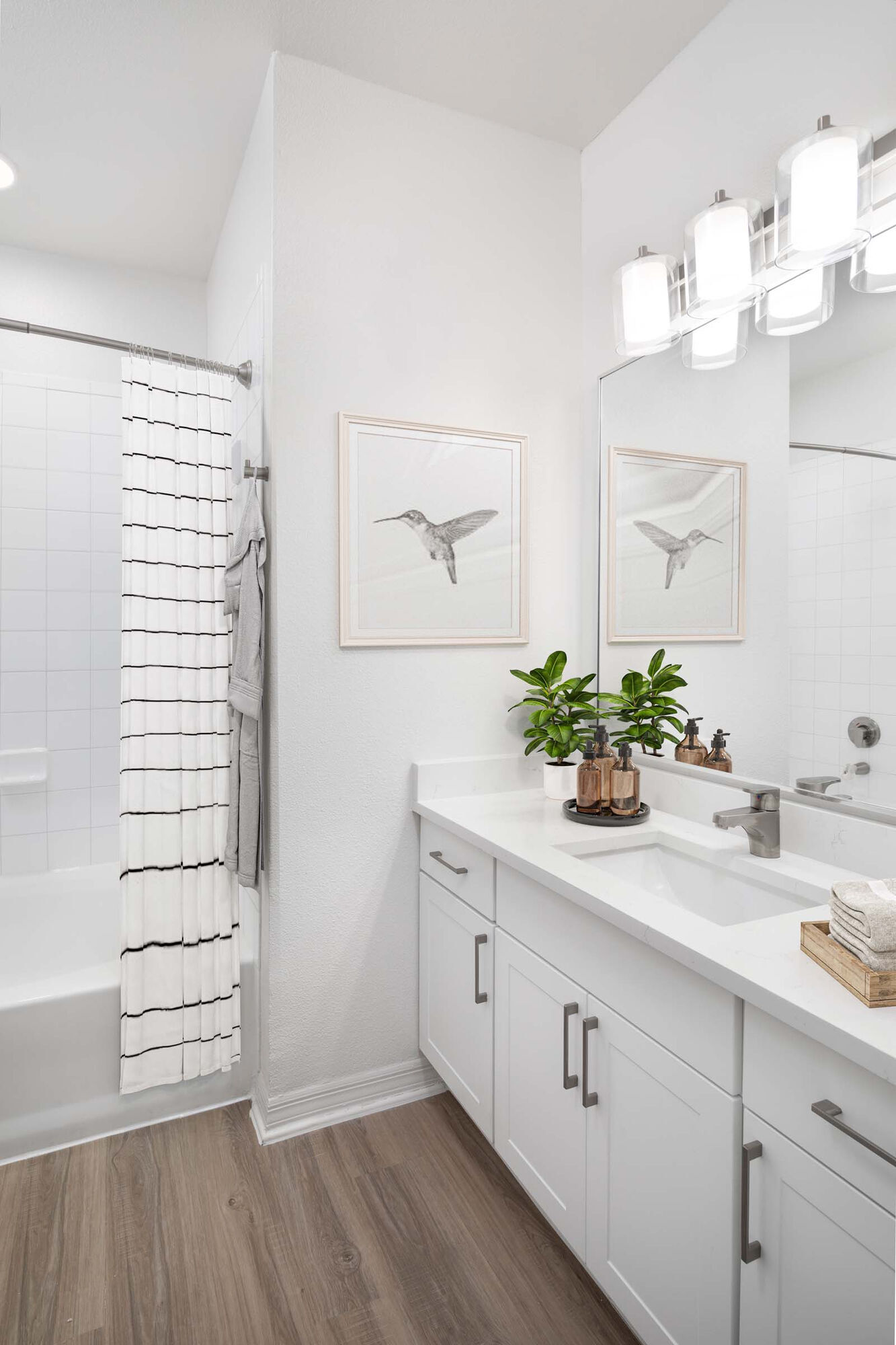 Camden Addison Image 15