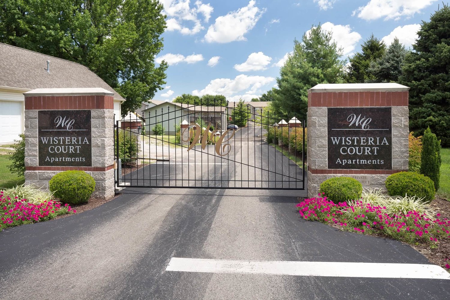 Storyboard on Wisteria Image 3