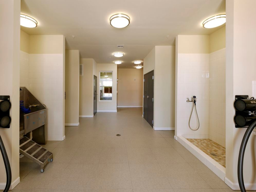 WAG pet spa with bathing area and grooming equipment