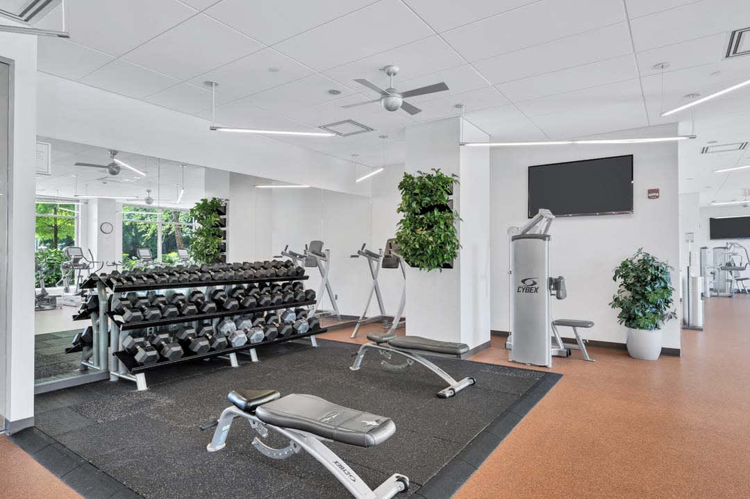 Prosperity Flats Image 4