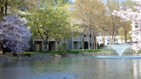 Linkhorn Bay Apartments Image 2