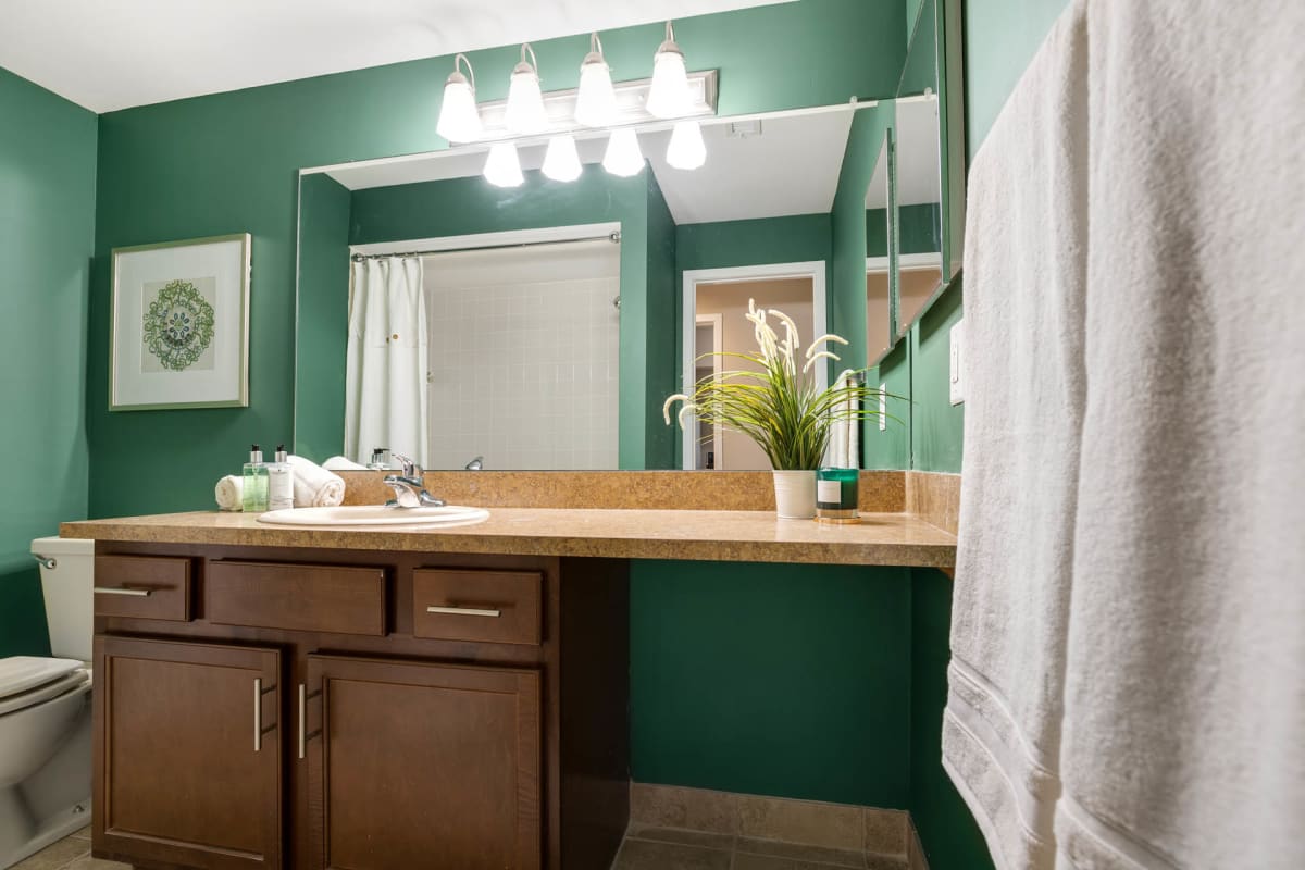 Amberly Apartments Image 11