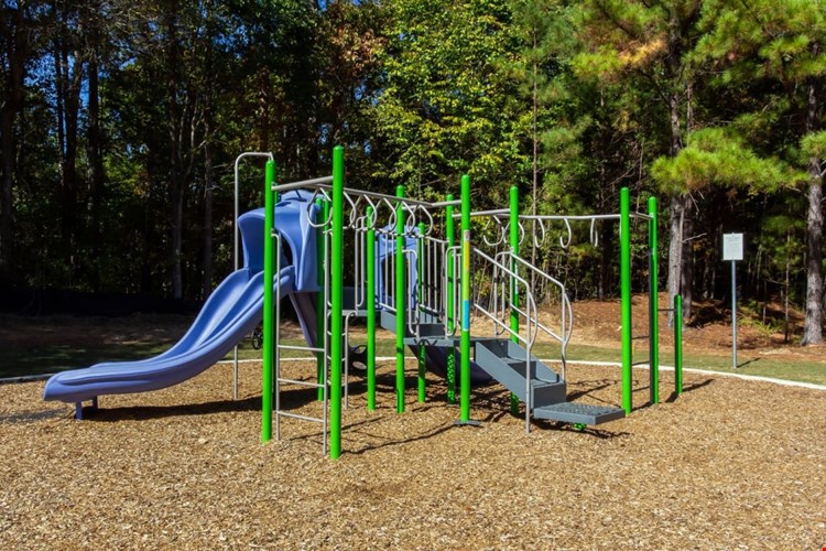 Wellington Ridge  Image 4