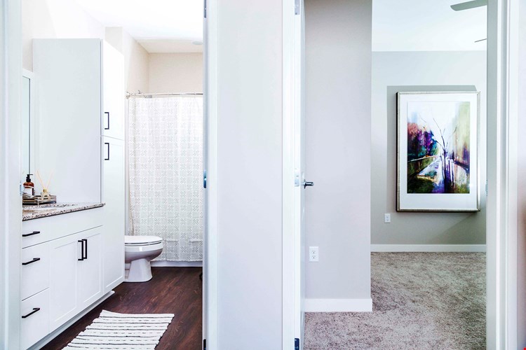 Two-Bedroom Apartment Bathroom and Sleeping Area