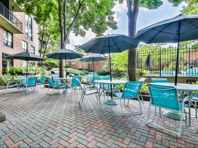 Beautiful courtyard views