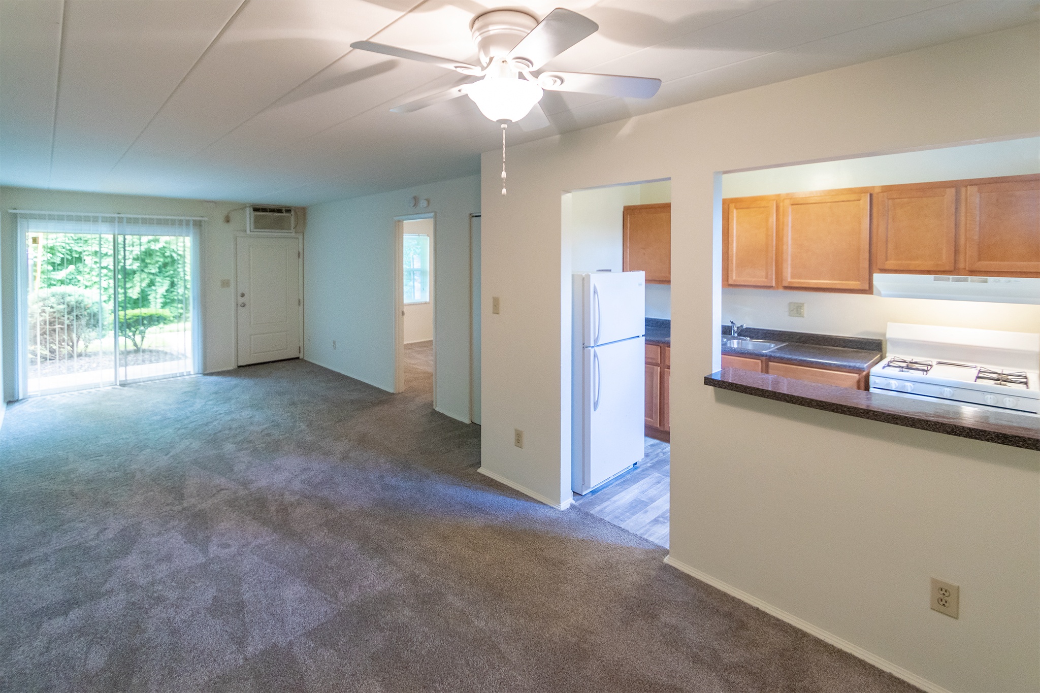 College Woods Image 43