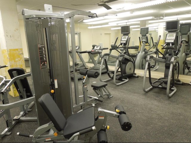 Cardio & Strength Equipment
