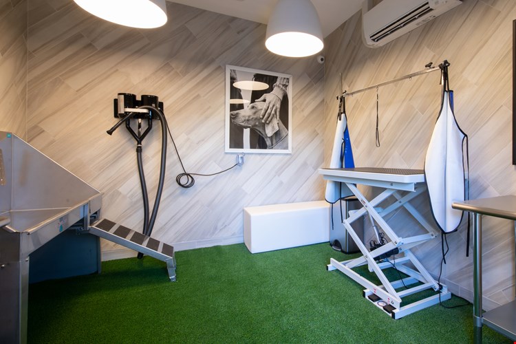 University Hill Image 11